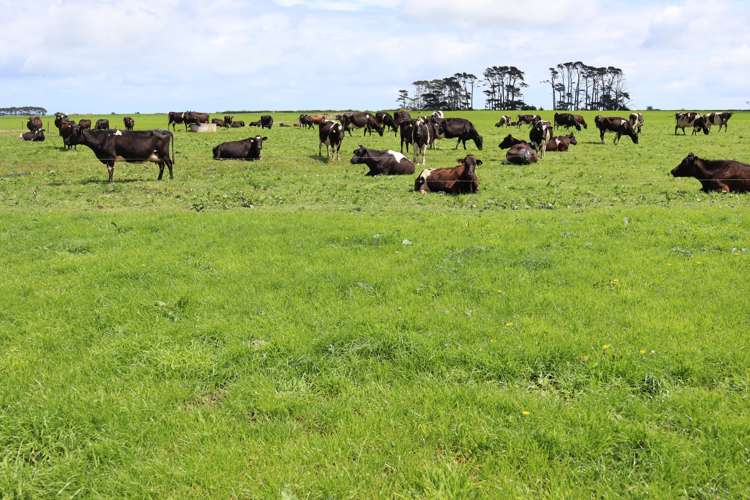 939 Auroa Road Auroa_21