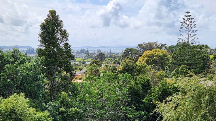 11 Moffat Road Red Beach_20