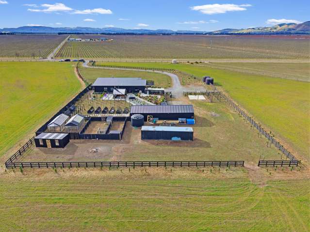 153 Innes Road Amberley_3