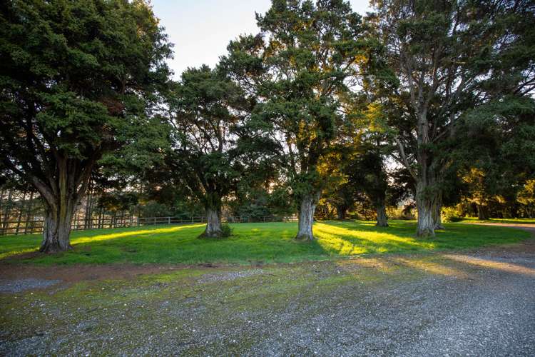 349 Wakefield-Kohatu Highway Wakefield_5