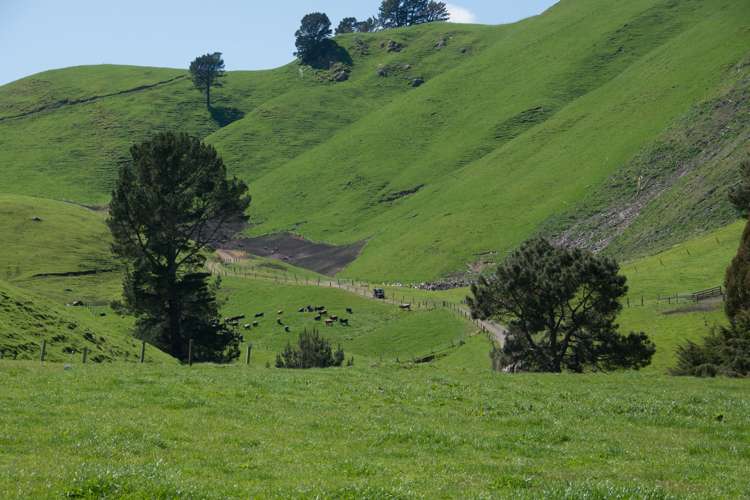 44 Coates Road Waikite Valley_18