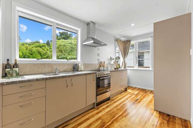 1/2 Esperanto Road Papatoetoe_4