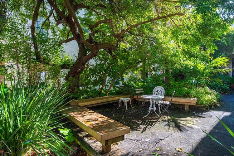 2/128 Newton Road Newton_16