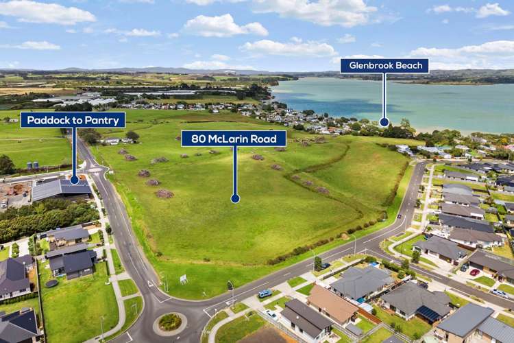 80 McLarin Road Glenbrook_14