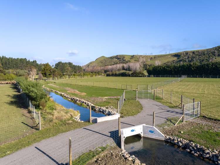 707 Norfolk Road Carterton_29