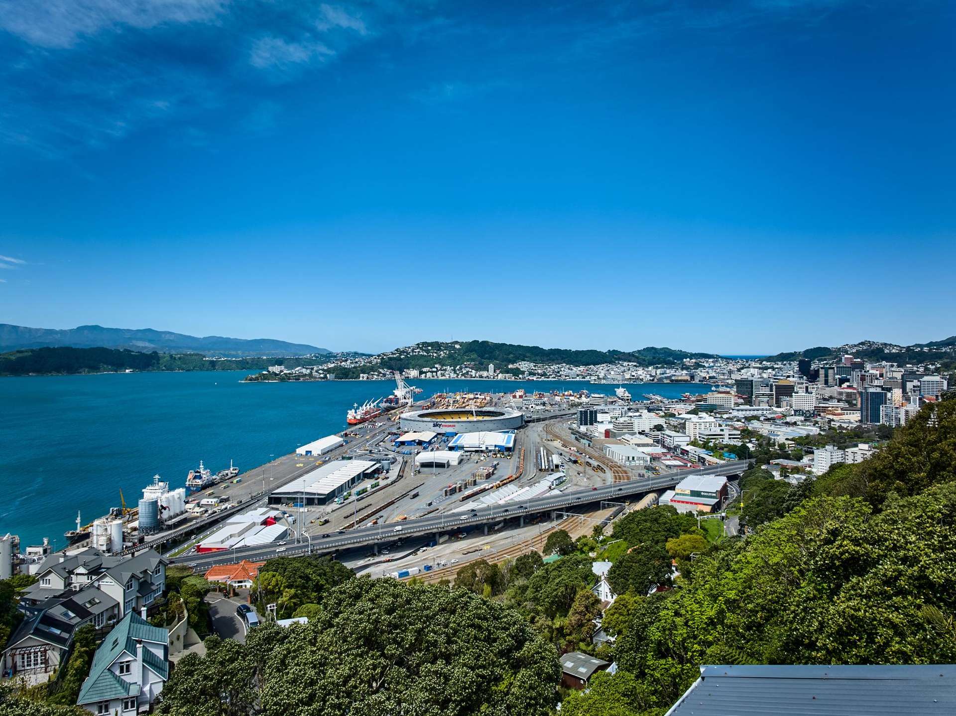 12 Anne Street Wadestown_0