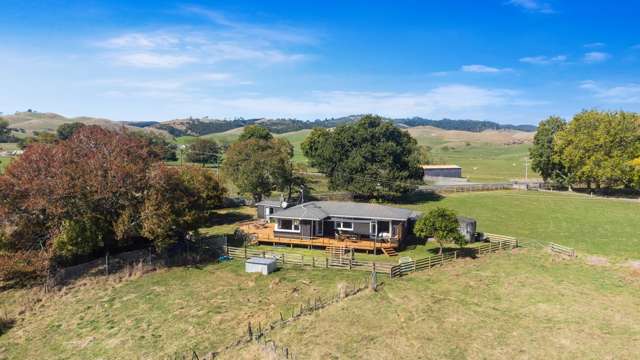 845 Tainui Road Morrinsville_3