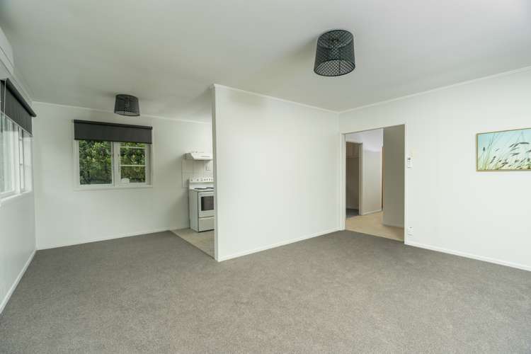 16 Willow Place Horahora_8