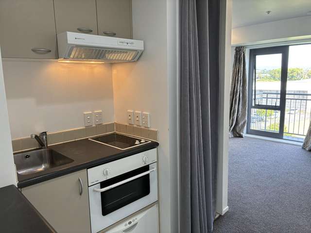 10 Crown Lynn Place 1732_2