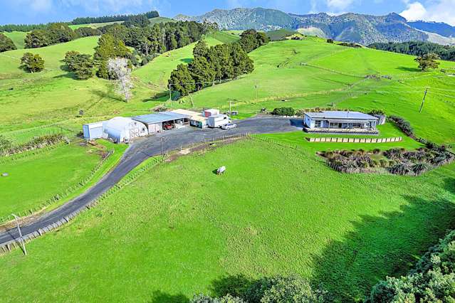 1524 Kirikopuni Valley Road Dargaville_1
