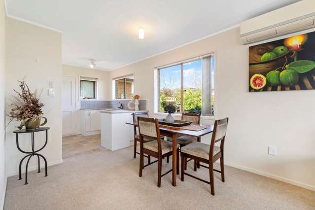 1/19 Tatariki Street Rosehill_3