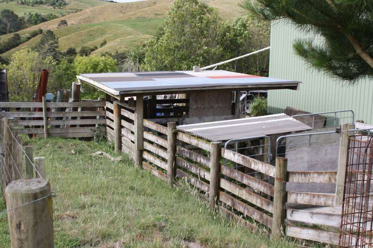 319 Quine Road Tahuna_17