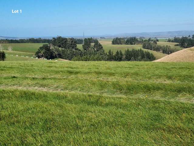 Cameron Road, Hillend Balclutha_1