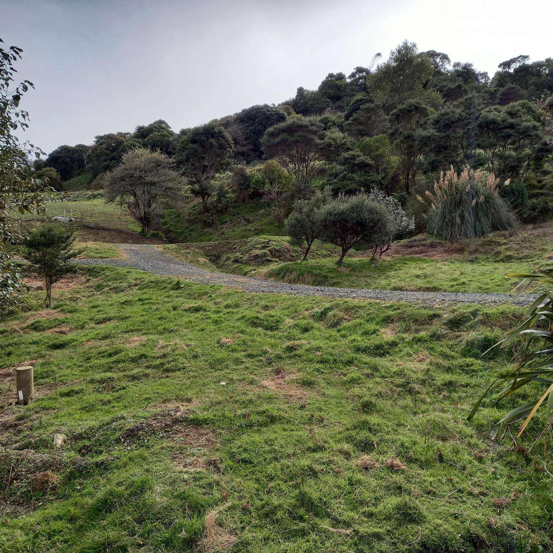 Raglan Road Kawhia_0