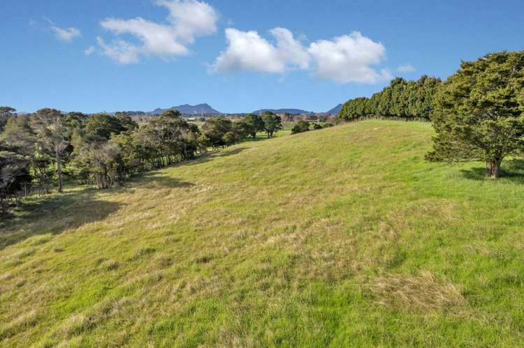 109 Sandford Road Ruakaka_23