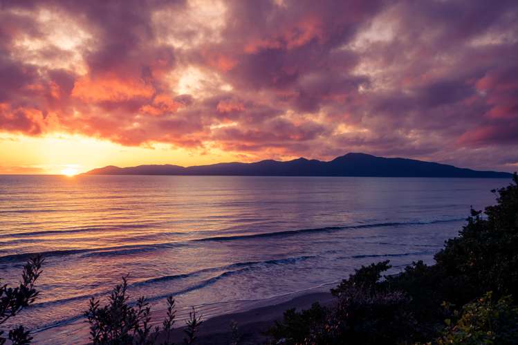 201a Rosetta Road Raumati South_19