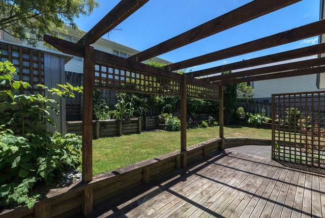 16 Nikau Street Springfield_2