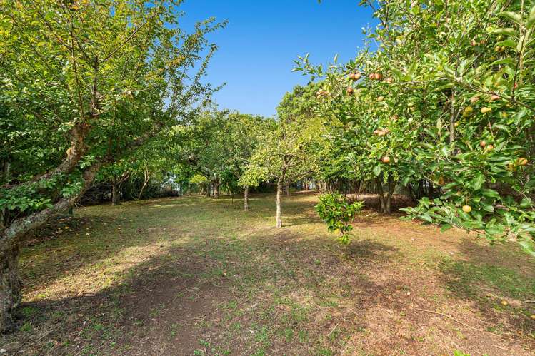 1688 South Head Road Helensville_10