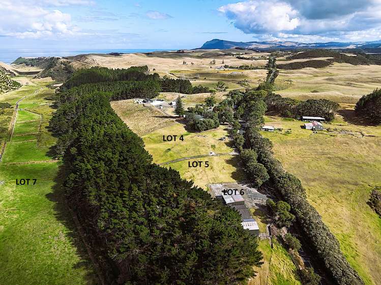 17 Kai Iwi Lakes Road Dargaville_5