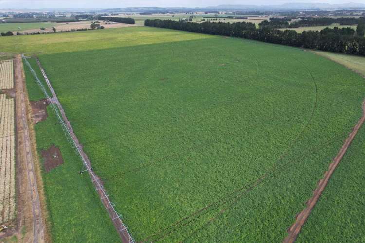 458 Wakarara Road Ongaonga_12