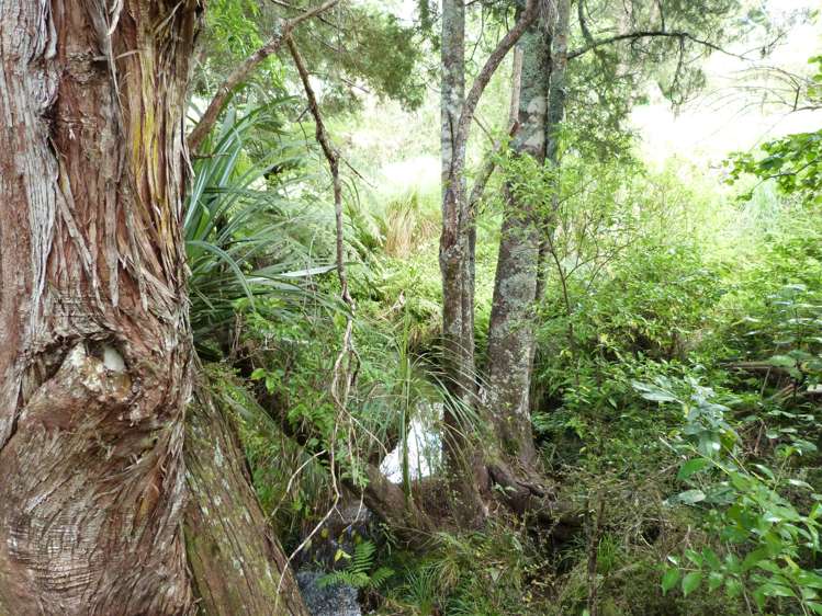 Lot 2 Okokako Road Kerikeri_9