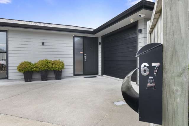 67a Albert Street Palmerston North Central_4