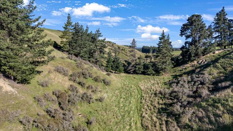 195 Mound Road Broomfield_32