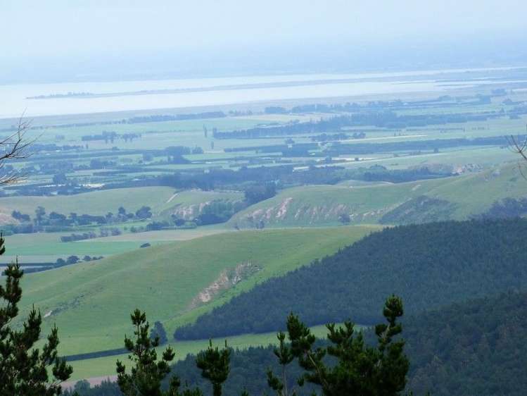 571a Mcqueens Valley Road Gebbies Valley_4