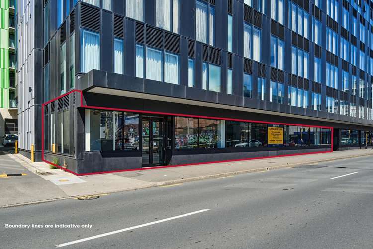 2/81 Vivian Street Te Aro_2