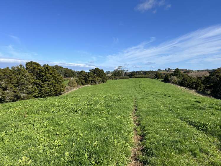 678 Waiuku Road Mauku_12