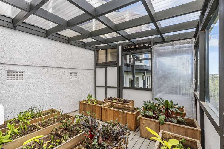 57 Kinghorne Street Strathmore Park_13