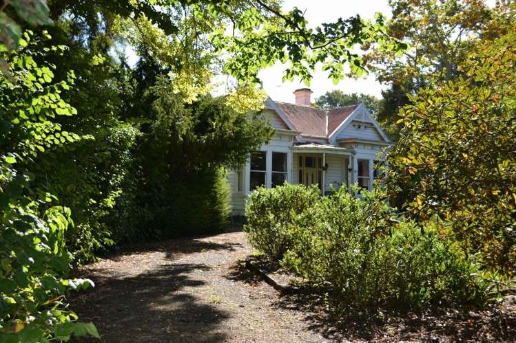 230 Bush Road Mosgiel_18