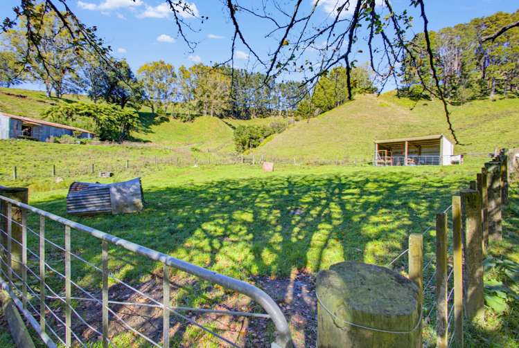 822 Motukawa Rd Inglewood_24