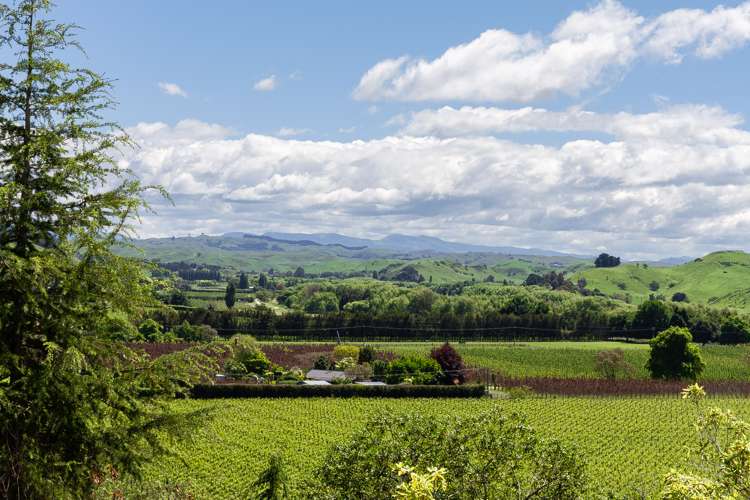 7 Breckenridge Lane Puketapu_3