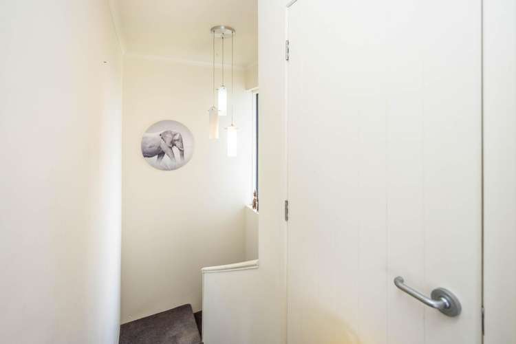 633 Picquet Hill Road Te Awamutu_16