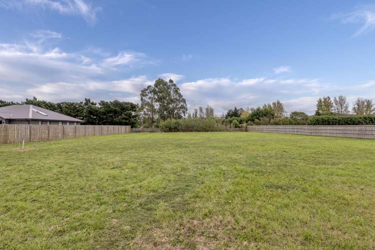 11b Plover Avenue_4