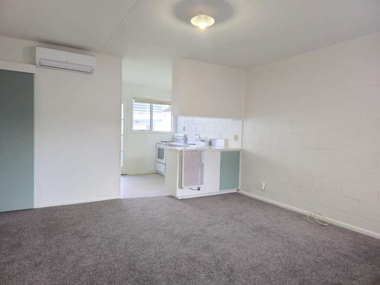 3/106 Tuwharetoa Street 11210_11