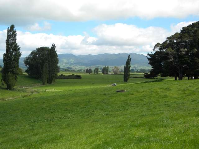 Lot 1 Pokuru Road Te Awamutu_3