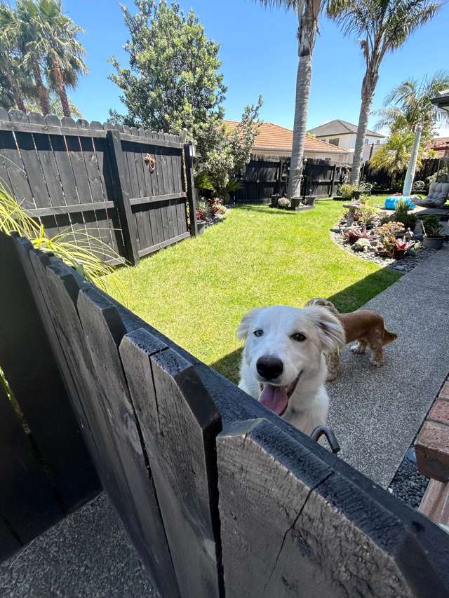 15 Te Ruru Way Stanmore Bay_1