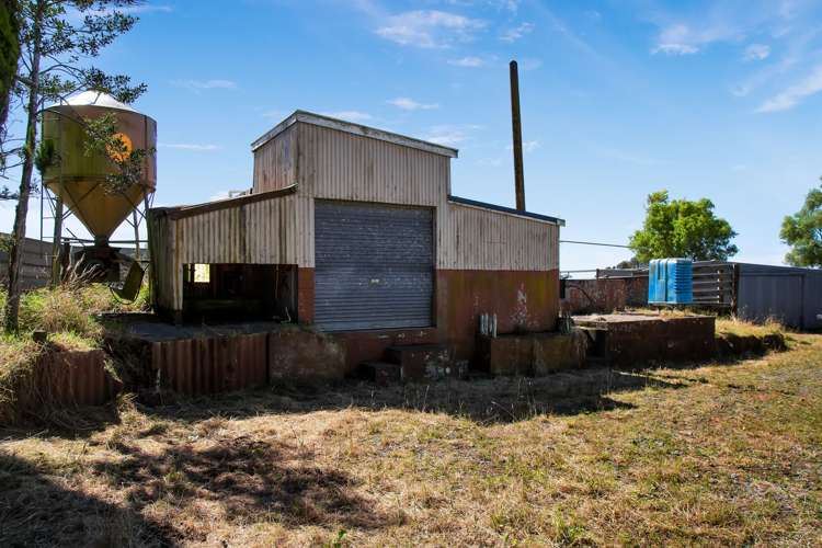 1256 Mangorei Road Mangorei_17