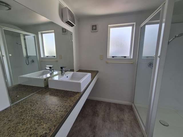 46 Hutcheson Street Mayfield_2