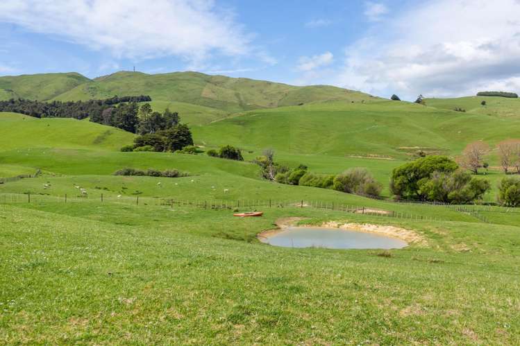 582 Bluff Rangitumau Road Rangitumau_14