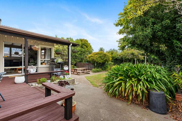 1010 Totara Street Mahora_16