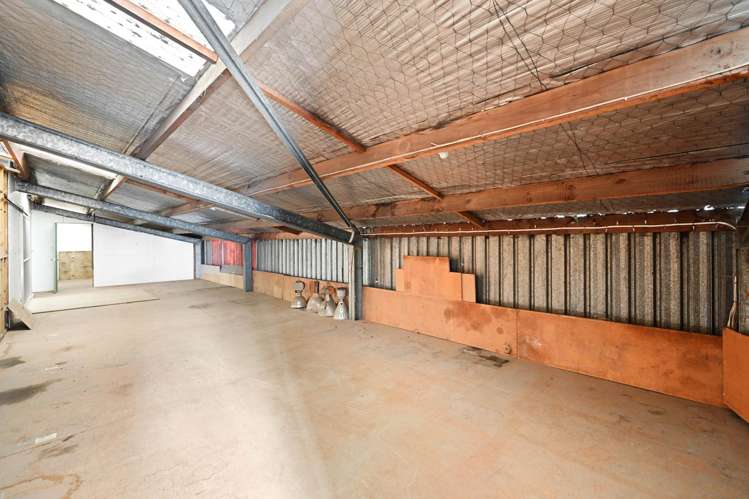 10 Newton Place Frankton_7