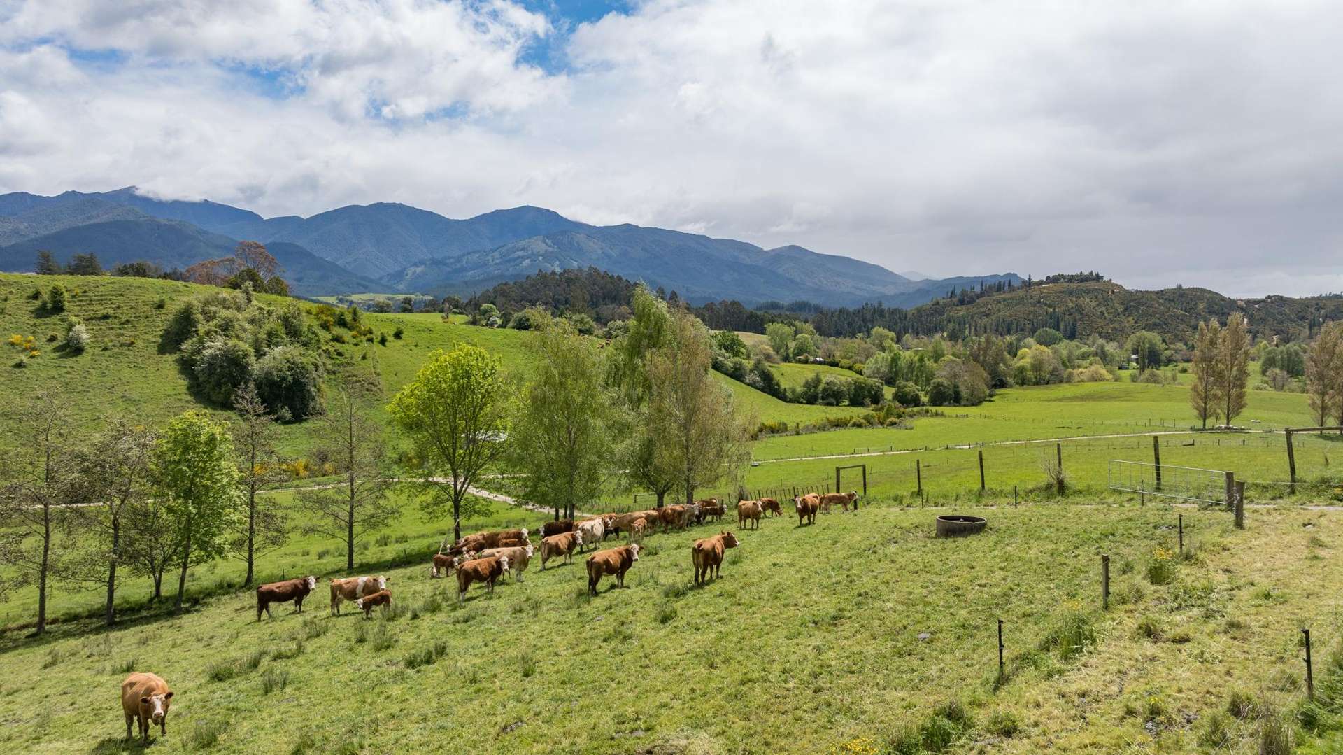 98 Thorpe-Orinoco Road Ngatimoti_0