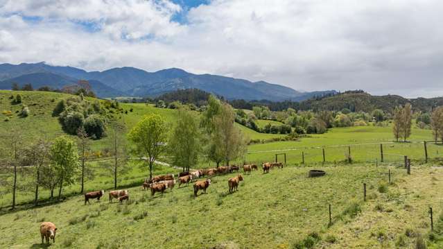 Productive farm land with two dwellings