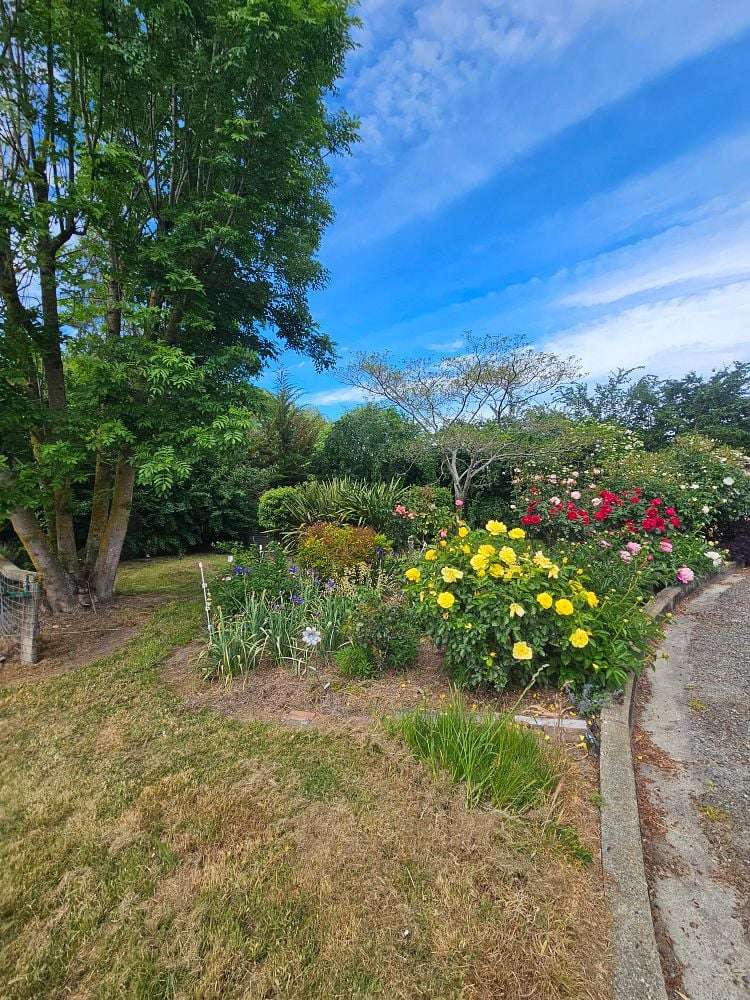 88 Howell Road Totara Valley_13