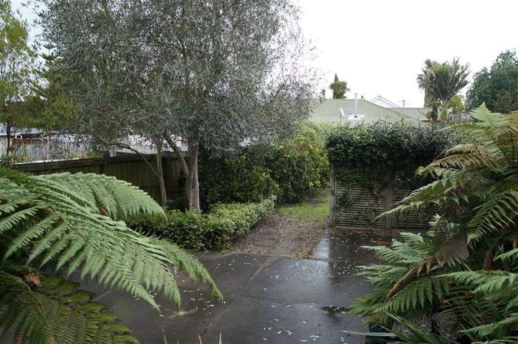 107 Sheehan Street Whataupoko_3