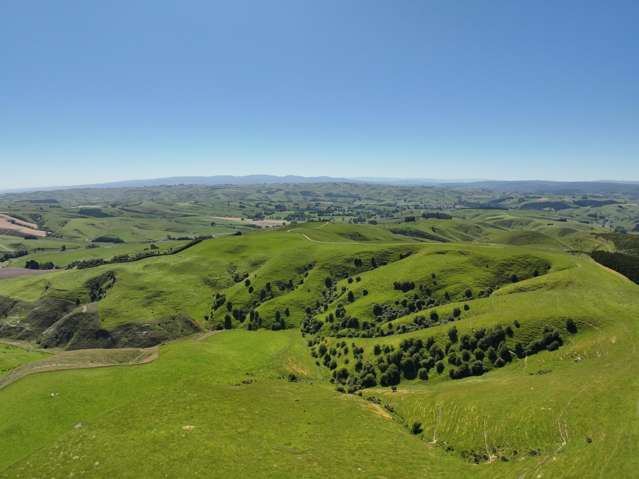 1916 Manuka Gorge Road Waitahuna Gully_2