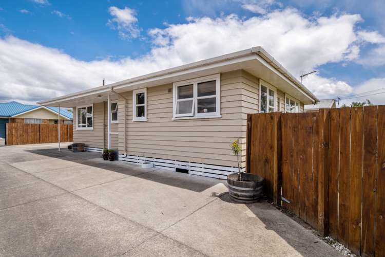 9 Havelock Street Renwick_19